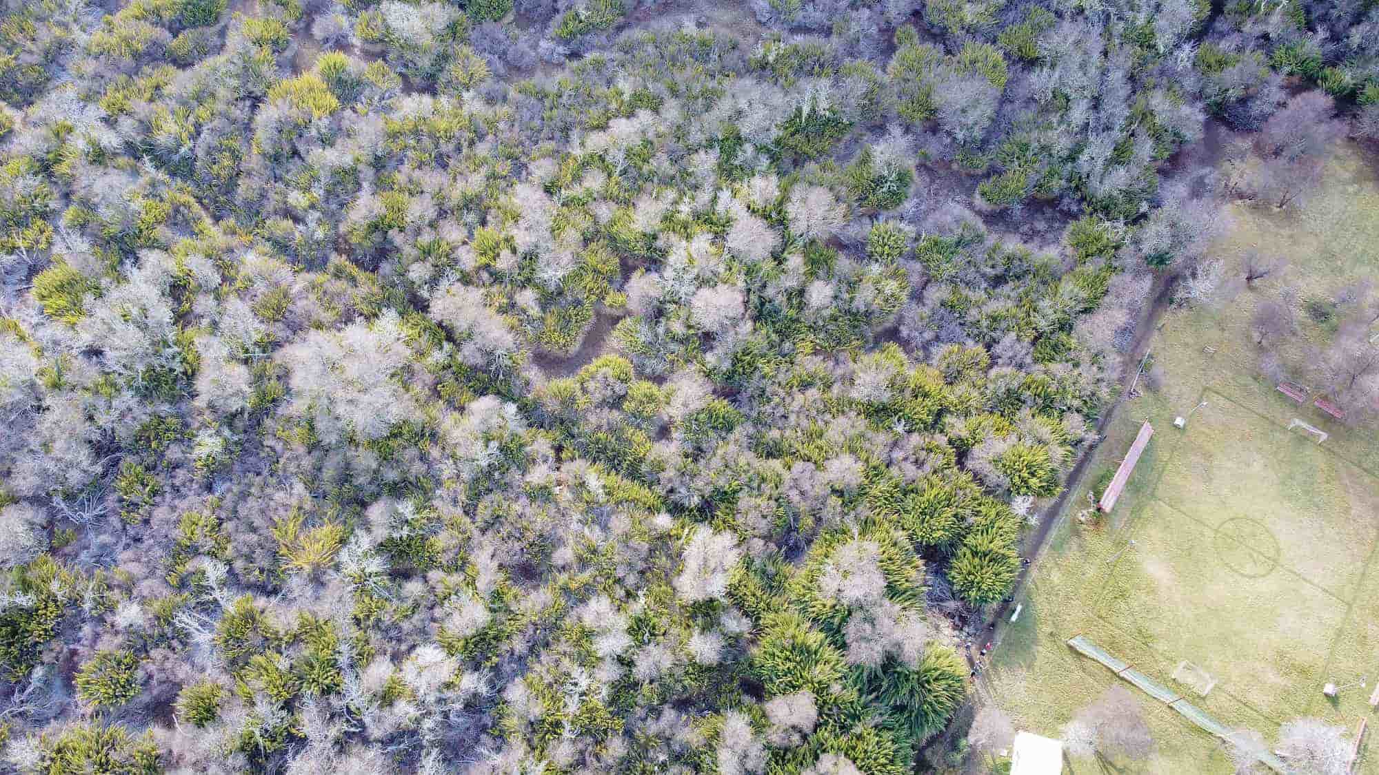 Valorización de terrenos y recursos naturales