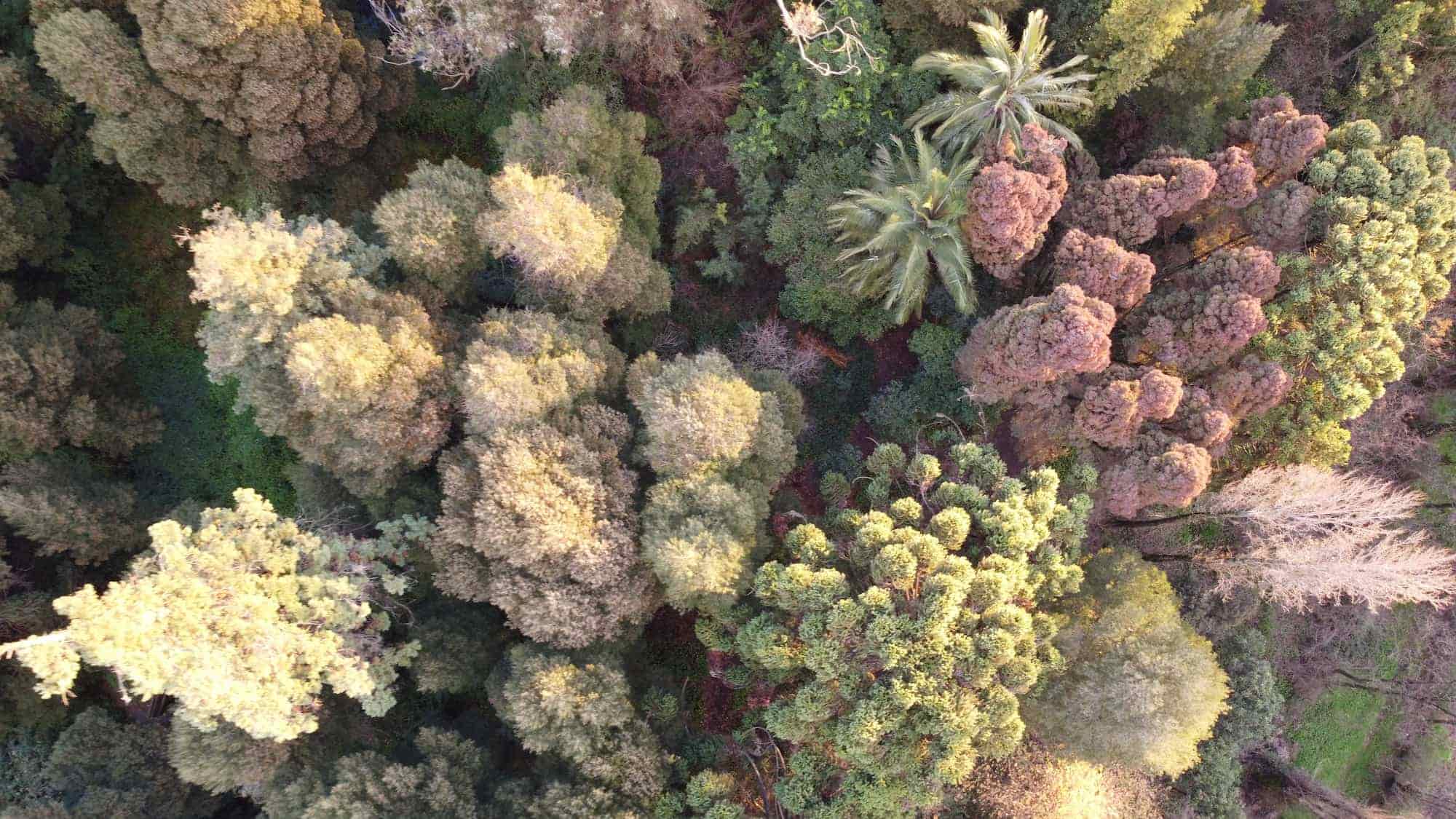 Valorización de terrenos y recursos naturales