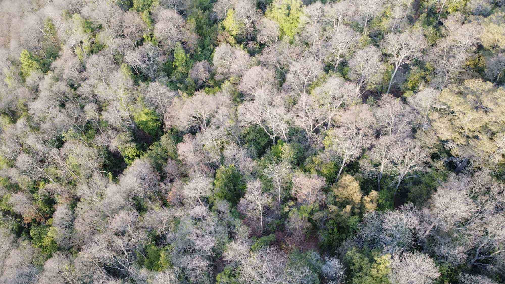 Valorización de terrenos y recursos naturales