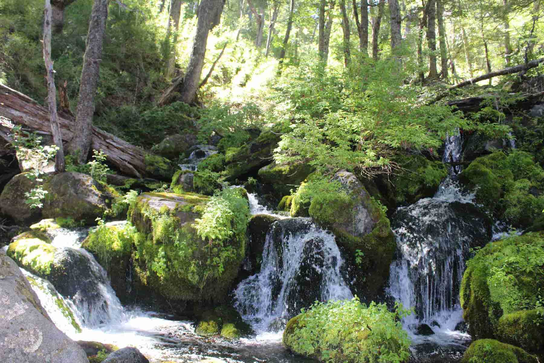 Valorización de terrenos y recursos naturales