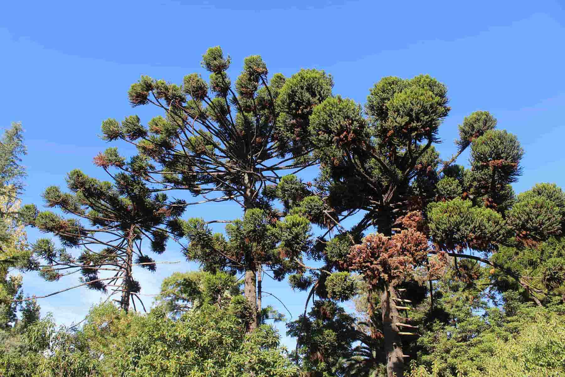 Valorización de terrenos y recursos naturales