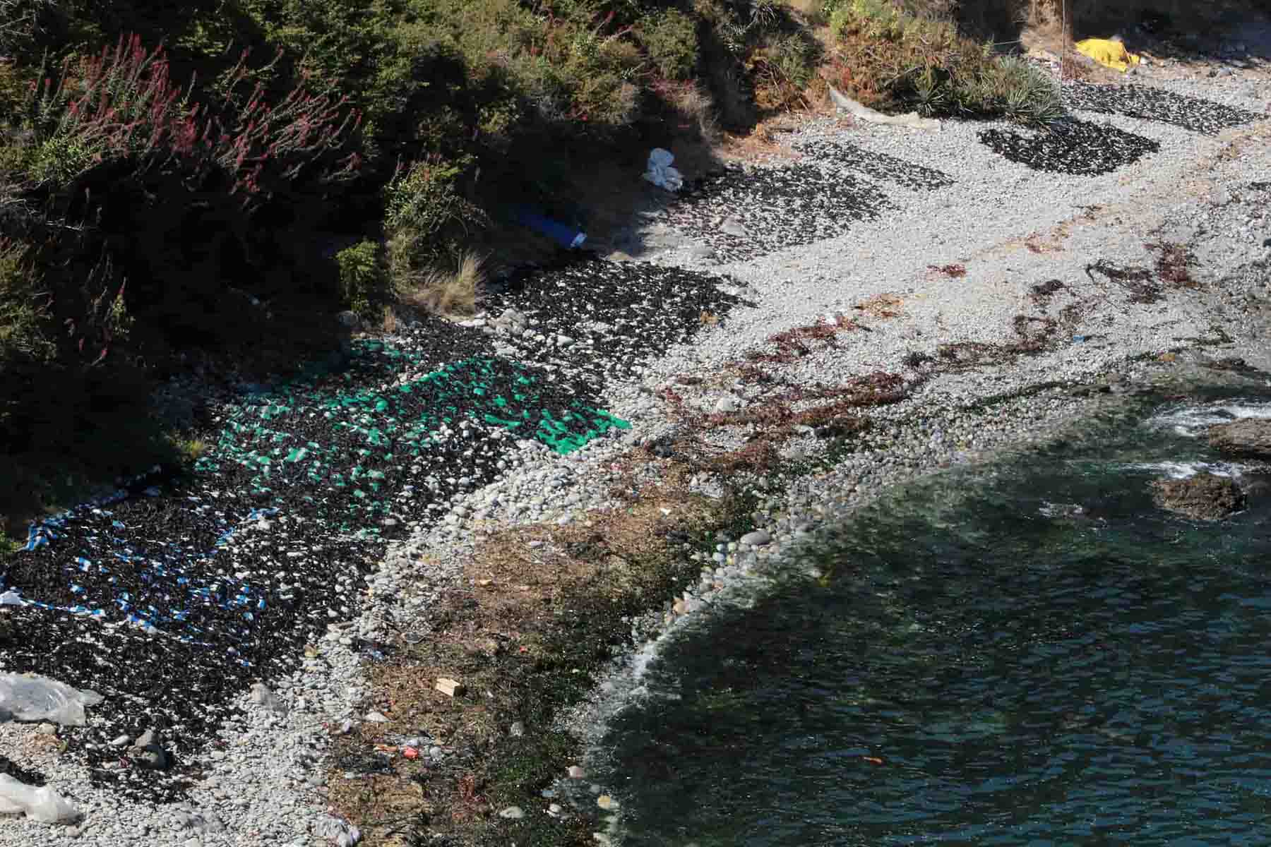 Valorización de terrenos y recursos naturales