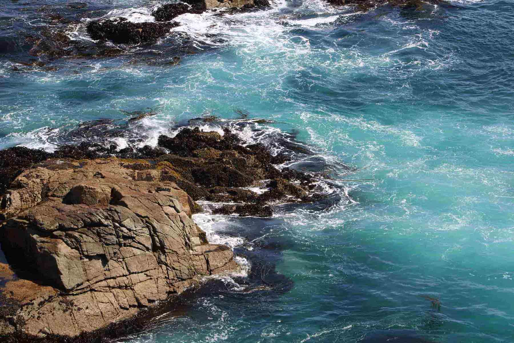 Valorización de terrenos y recursos naturales