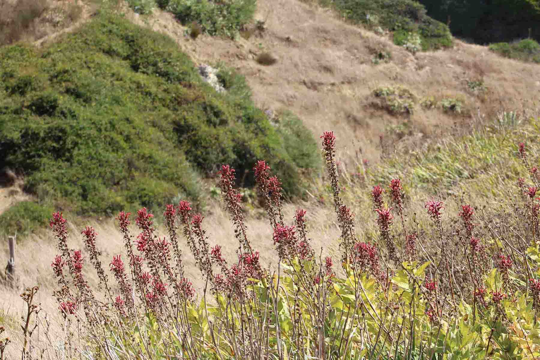 Valorización de terrenos y recursos naturales