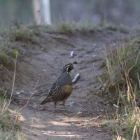 Valorización de terrenos y recursos naturales